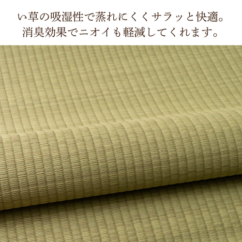 めんべい 畳シート い草 寝ござ い草シーツ 88×180cm