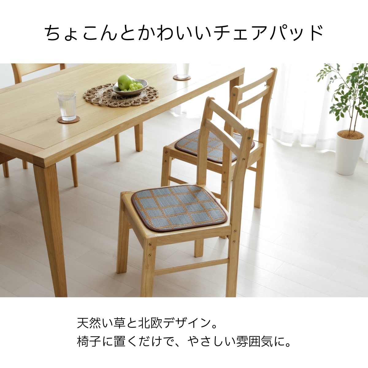 い草 シート チェッケ 約35×35cm｜イケヒコ公式通販