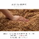 こたつ布団 ノート Nought 丸 円形 楕円形