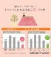 こたつ布団 ノート Nought 丸 円形 楕円形