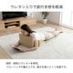 い草 TV枕 すずか クッション 座布団 約45×100cm