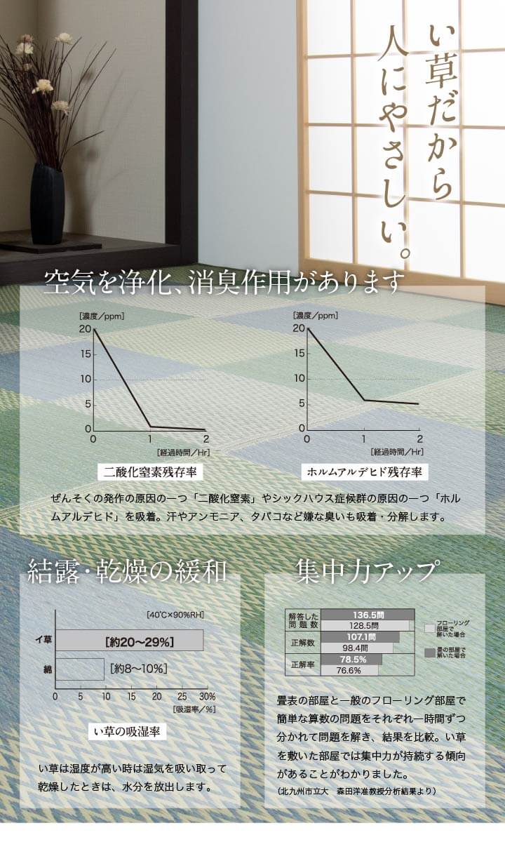 い草カーペット ござ 上敷き ニューピア 江戸間 本間 団地間 2～8畳