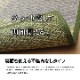 い草カーペット ござ 上敷き ニューピア 江戸間 本間 団地間 2～8畳 市松