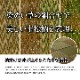 い草カーペット ござ 上敷き ニューピア 江戸間 本間 団地間 2～8畳 市松