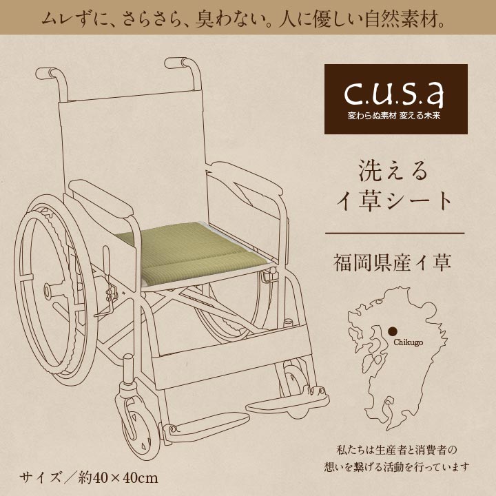 ヘルスケア 介護用品洗えるい草シート