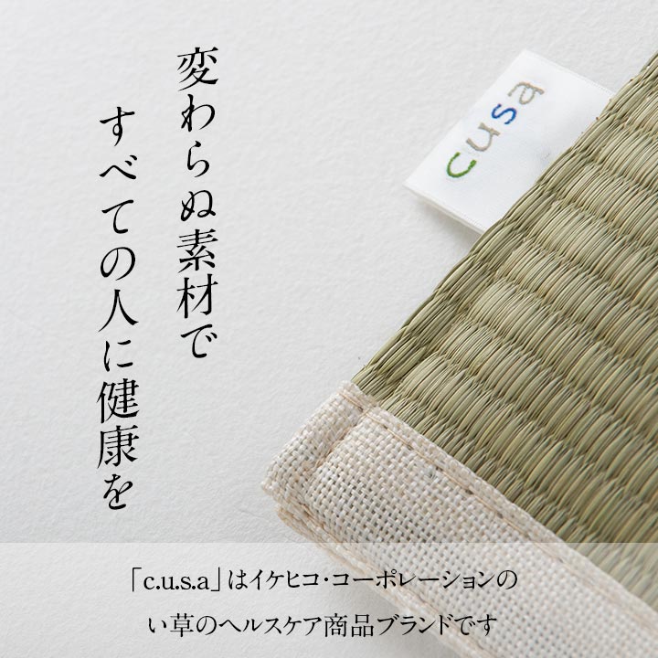 ヘルスケア 介護用品洗えるい草シート