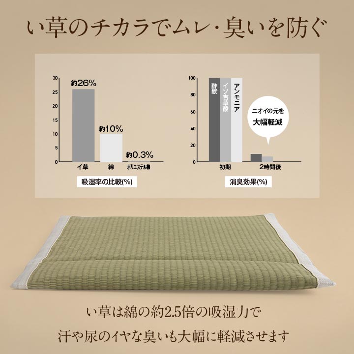ヘルスケア 介護用品洗えるい草シート