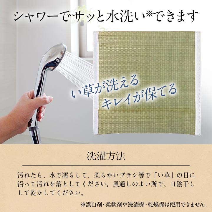 ヘルスケア 介護用品洗えるい草シート