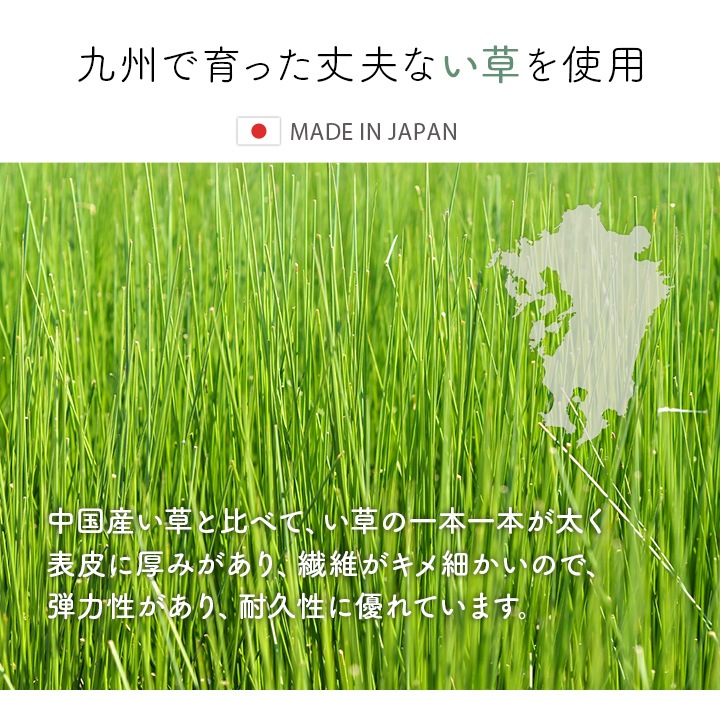 国産 い草玄関マット Fネム 抗菌防臭 消臭 滑り止め 日本製 室内マット