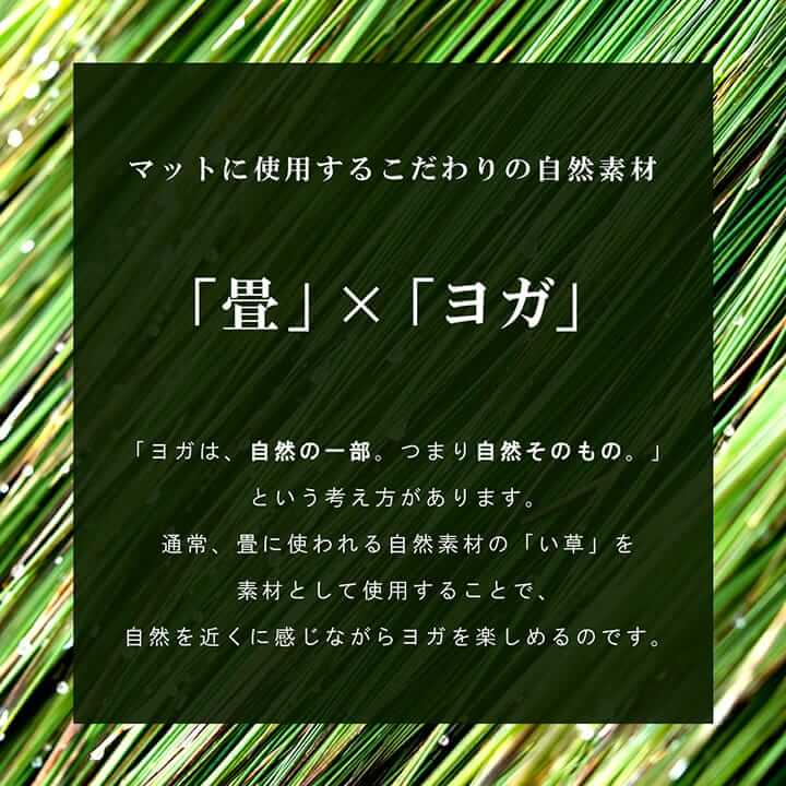 畳 ヨガマット 曼荼羅 マンダラ 約66×185cm 幅広 国産 い草