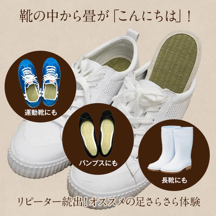 い草インソール 足さらっとインソールPro