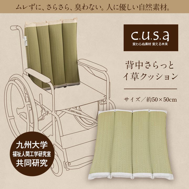 ヘルスケア 介護用品背中さらっとい草クッション