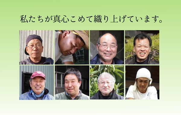 フリーカット い草 上敷きカーペット 『F竹』 江戸間 / 本間 (裏:ウレタン張り）