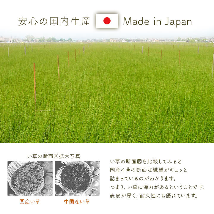い草ベビーマット アスクドクター 約70×120cm
