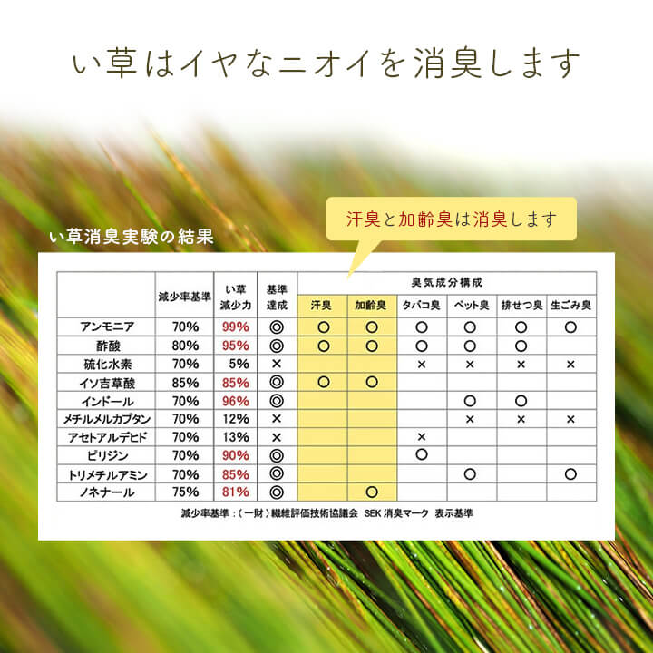 い草ベビーマット アスクドクター 約70×120cm