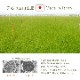 い草ベビーマット アスクドクター 約70×120cm