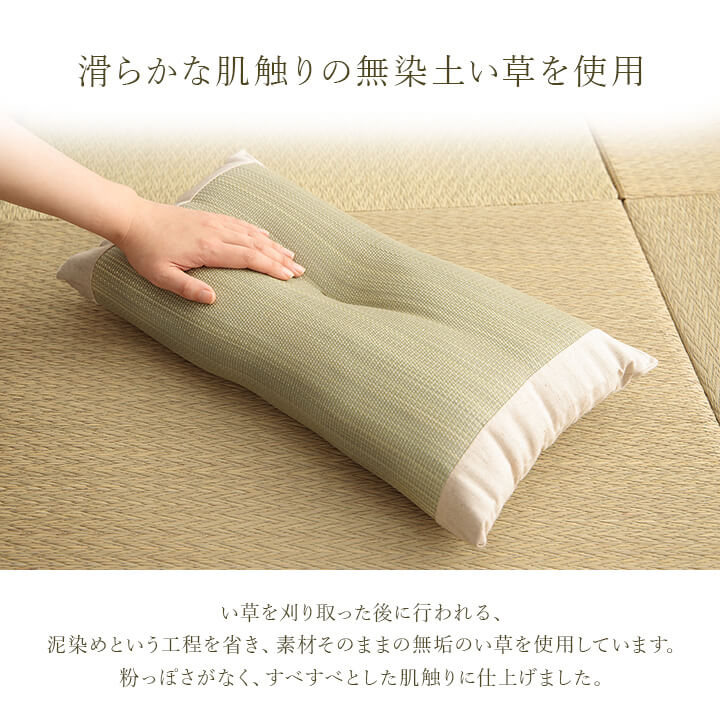 アスクドクターズ AskDoctors 中材を選べるい草枕
