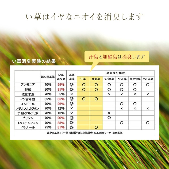 アスクドクターズ AskDoctors 中材を選べるい草枕
