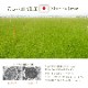 アスクドクターズ AskDoctors 中材を選べるい草枕