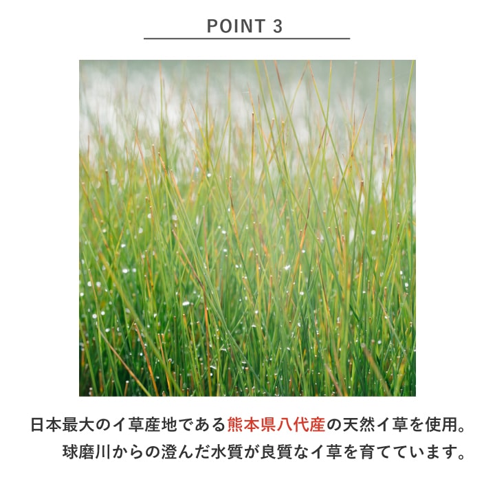 畳替え 国産い草 『きらめき』 新調 交換 【97cm×194cm以下】 本間・三六間・六一間 熊本県八代産 ブランド イグサ いぐさ ごさ ゴザ 縁付