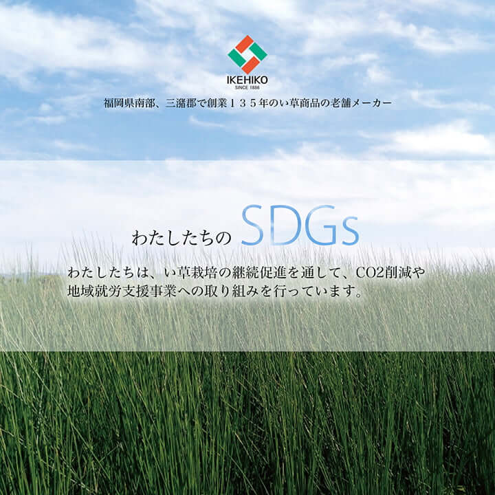 ハンドメイド い草リース 約20cm 玄関リング しめ縄 玄関飾り 正月飾り しめ飾り