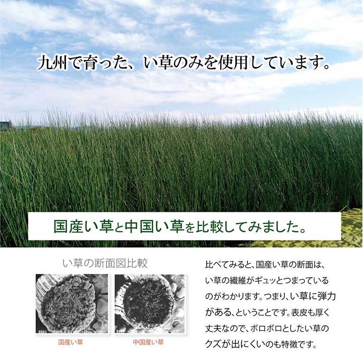 国産 い草 枕 侍角枕 高さ調整