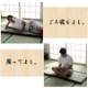 侍 い草マット 約70×150cm ごろ寝マット お昼寝マット 日本製