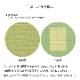 縁なし畳 琉球畳 和紙 新調 交換 【半畳サイズ：88cm×88cm以下】 江戸間・五八間・団地間 大建 ダイケン DAIKEN 大建工業 清流 カラー畳 おしゃれ