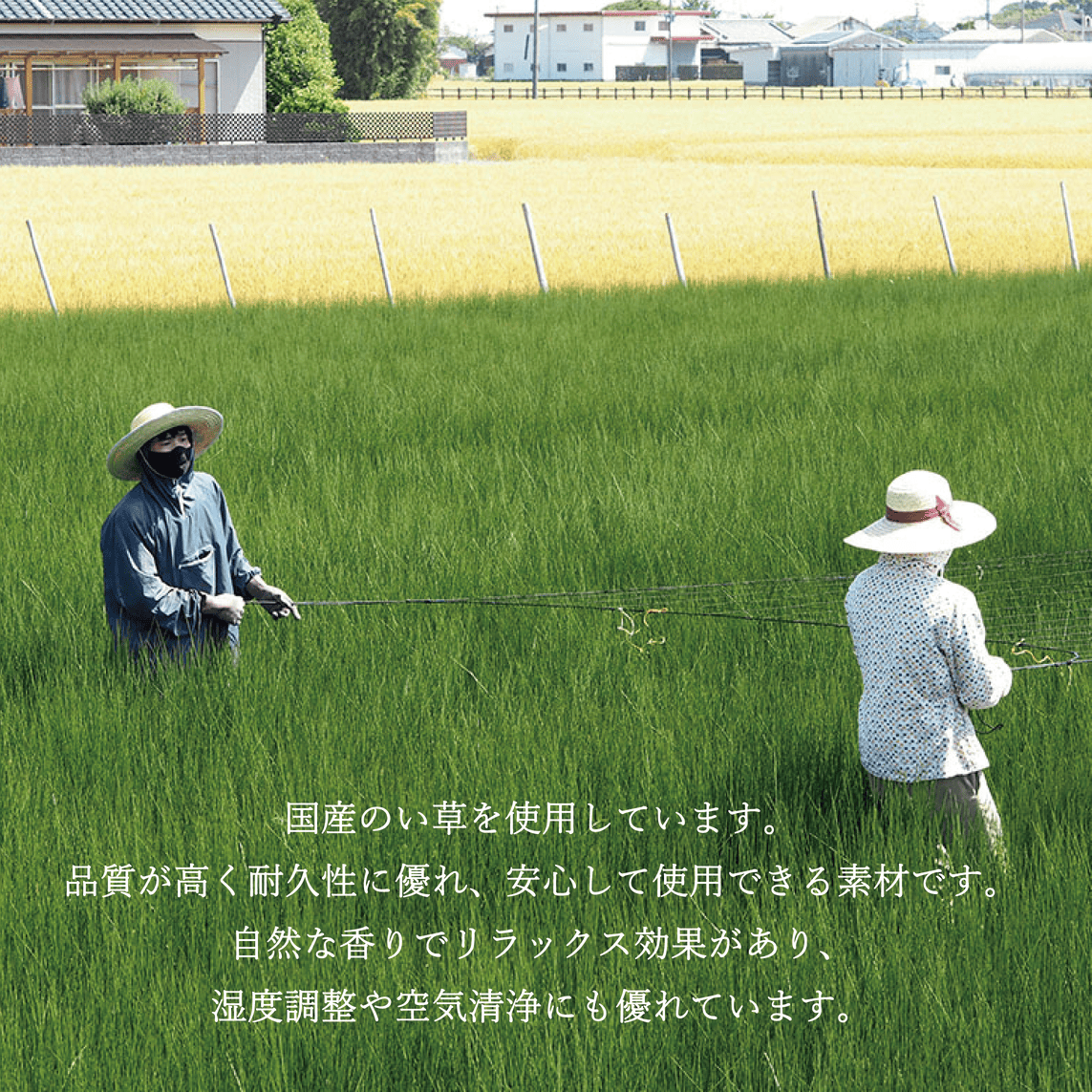 TATAMIE い草 アートボード アートパネル ウォールデコ モダン 和柄