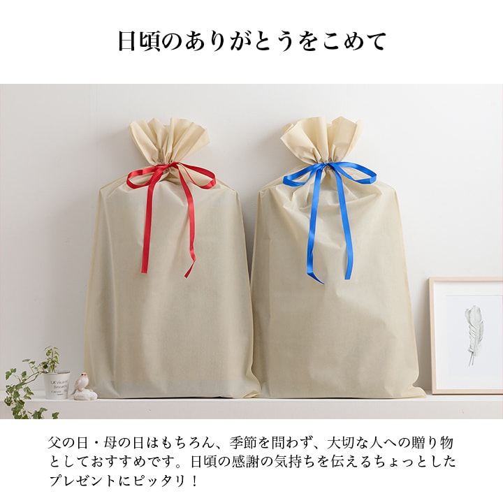 ごろ寝マット＆枕 すずか プレゼント ギフト い草マット 日本製