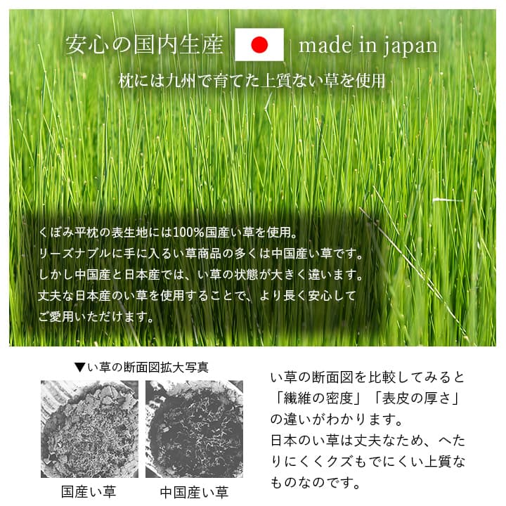 ごろ寝マット＆枕 すずか プレゼント ギフト い草マット 日本製