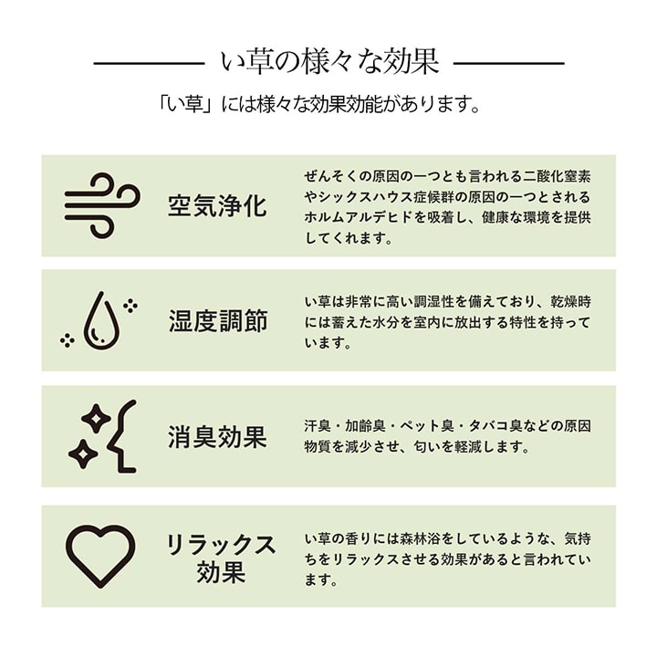 い草カーペット ルネ 江戸間 本間 団地間 抗菌防臭 消臭