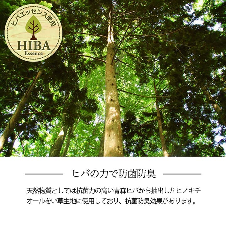 い草カーペット ルネ 江戸間 本間 団地間 抗菌防臭 消臭