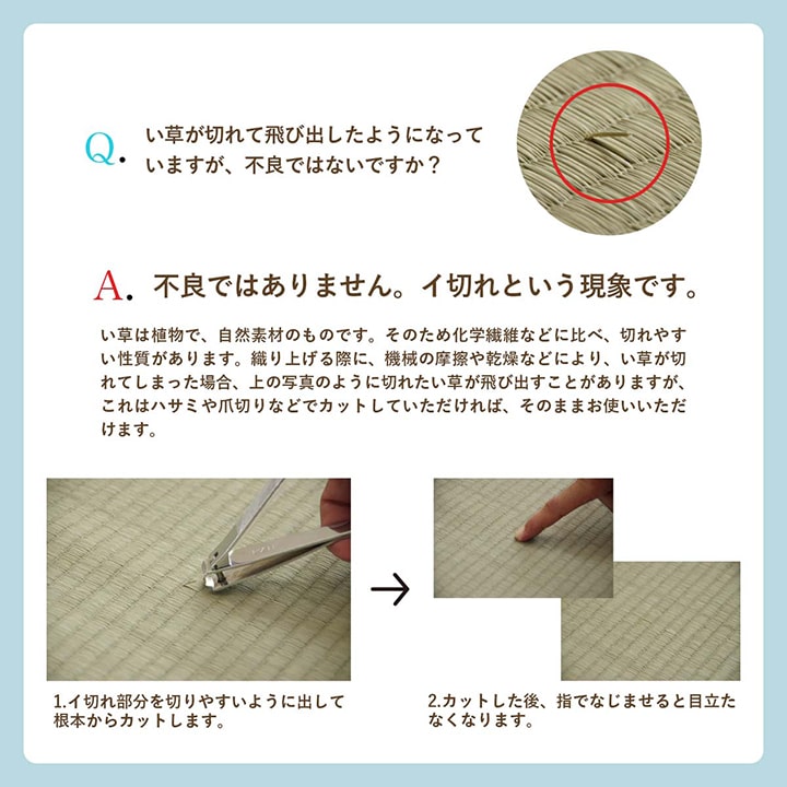 い草ラグ DXルネ 4.5畳 6畳 8畳 江戸間 本間 団地間 滑り止め付き