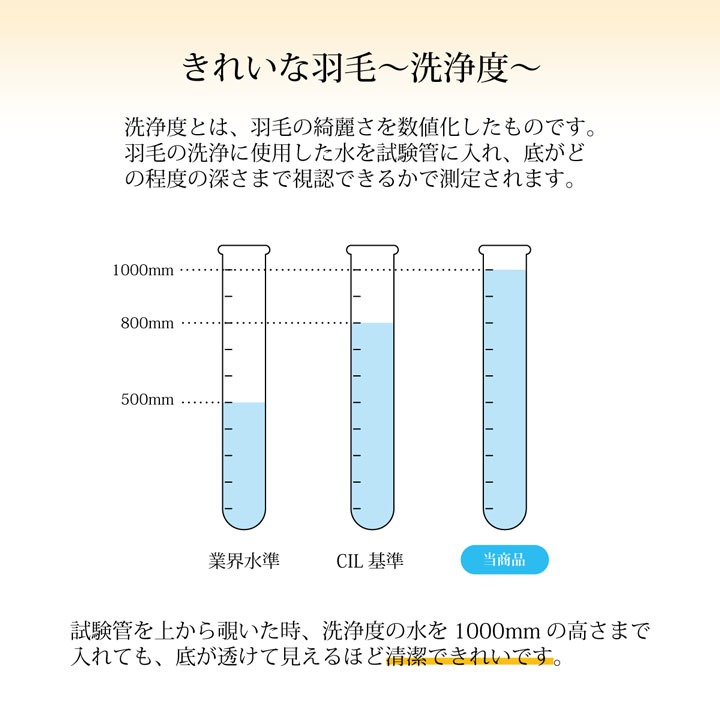 羽毛掛布団 ベリーズ 抗菌防臭 日本製 シングル ダブル