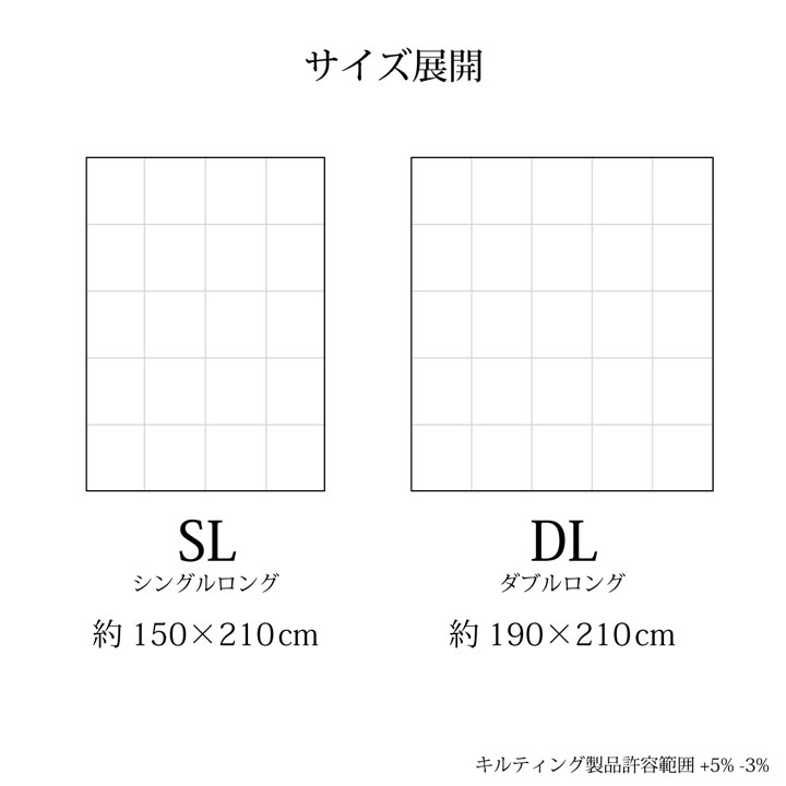 羽毛掛布団 ベリーズ 抗菌防臭 日本製 シングル ダブル