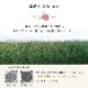 置き畳 ユニット畳 すくすく畳 70cm/82cm 国産 い草 縁なし サイズオーダー可