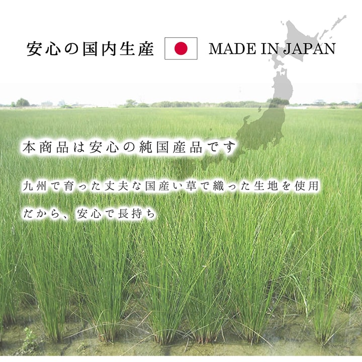 国産 い草ラグ モーニング 和モダン シンプル 市松 191×191cm 191×250cm