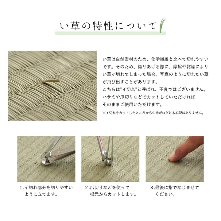 国産 い草ラグ モーニング 和モダン シンプル 市松 191×191cm 191×250cm