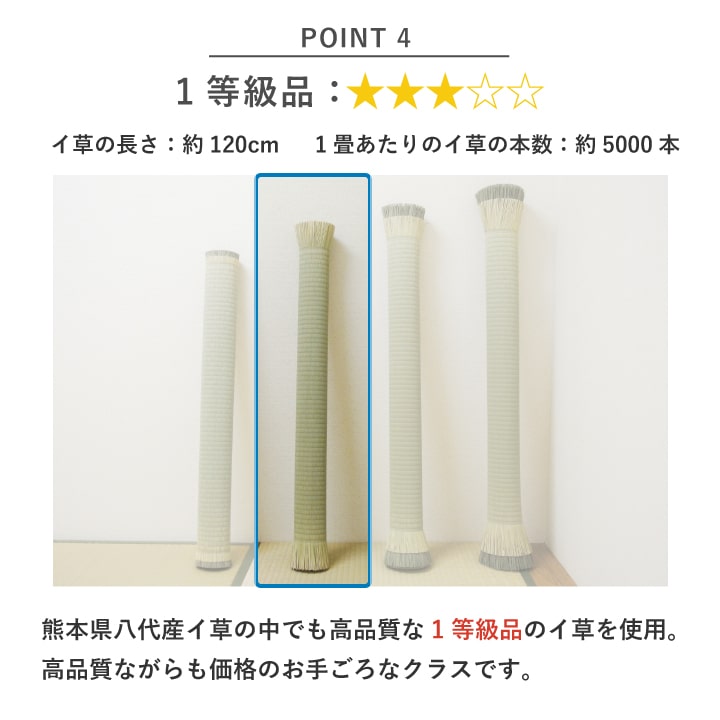畳替え 国産い草 『さざなみ』 新調 交換 【88cm×176cm以下】 江戸間・五八間・団地間 熊本県 八代産 イグサ いぐさ ごさ ゴザ 縁付