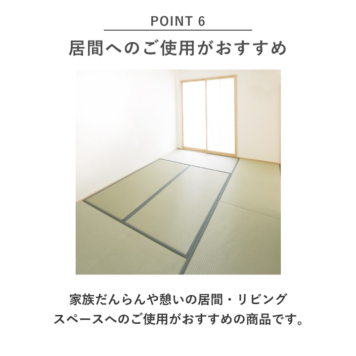 畳替え 国産い草 『さざなみ』 新調 交換 【88cm×176cm以下】 江戸間・五八間・団地間 熊本県 八代産 イグサ いぐさ ごさ ゴザ 縁付
