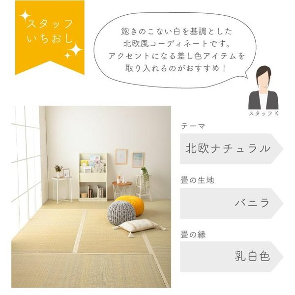 畳替え 『エアラッシュ』 樹脂 い草 表替え【97cm×194cm以下】 本間・三六間・六一間 消臭 調湿 カラー畳