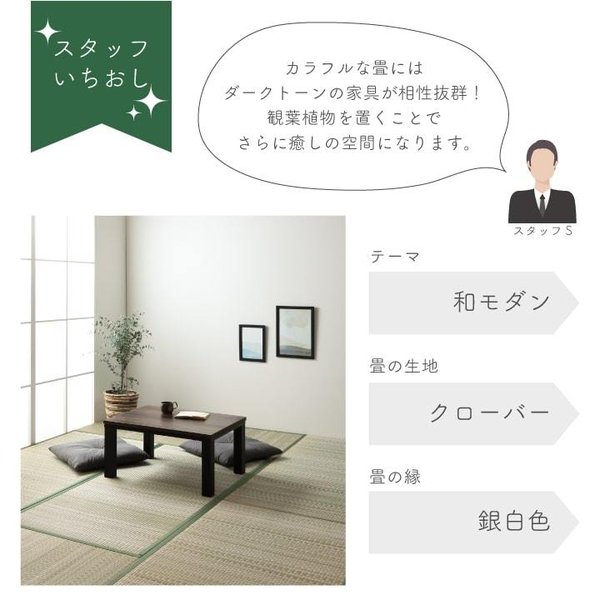 畳替え 『エアラッシュ』 樹脂 い草 表替え【97cm×194cm以下】 本間・三六間・六一間 消臭 調湿 カラー畳