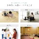 畳替え 『エアラッシュ』 樹脂 い草 表替え【97cm×194cm以下】 本間・三六間・六一間 消臭 調湿 カラー畳