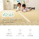 畳替え 『エアラッシュ』 樹脂 い草 表替え【97cm×194cm以下】 本間・三六間・六一間 消臭 調湿 カラー畳