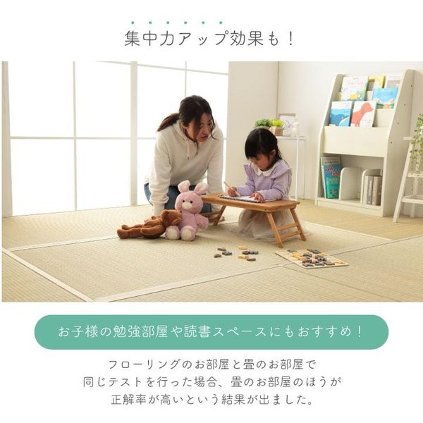 畳替え 『エアラッシュ』 樹脂 い草 新調 交換 【88cm×176cm以下】 江戸間・五八間・団地間 消臭 調湿 カラー畳