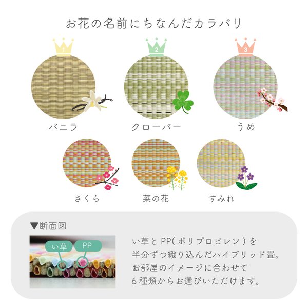 畳替え 『エアラッシュ』 樹脂 い草 新調 交換 【88cm×176cm以下】 江戸間・五八間・団地間 消臭 調湿 カラー畳