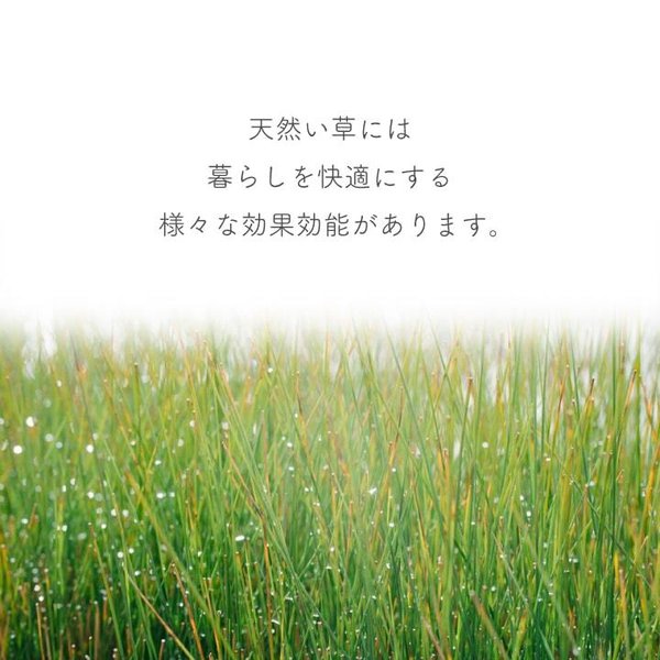 畳替え 『エアラッシュ』 樹脂 い草 新調 【97cm×195cm以下】 本間・三六間・六一間 消臭 調湿 カラー畳