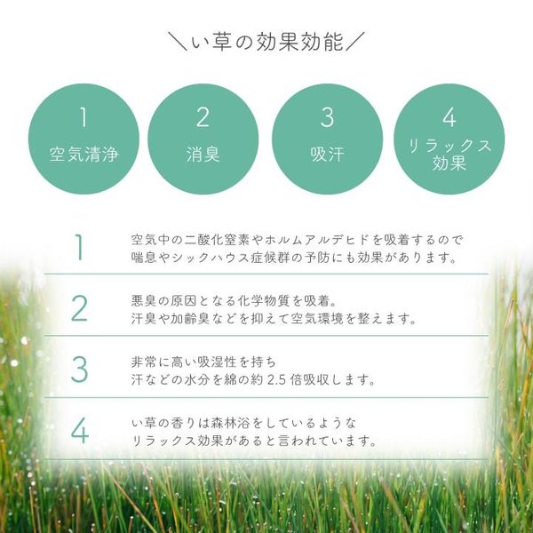 畳替え 『エアラッシュ』 樹脂 い草 新調 【97cm×195cm以下】 本間・三六間・六一間 消臭 調湿 カラー畳