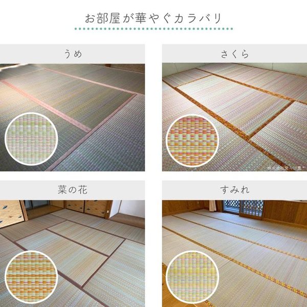 畳替え 『エアラッシュ』  樹脂 い草 表替え 張り替え 【88cm×176cm以下】江戸間・五八間・団地間 消臭 調湿 カラー畳